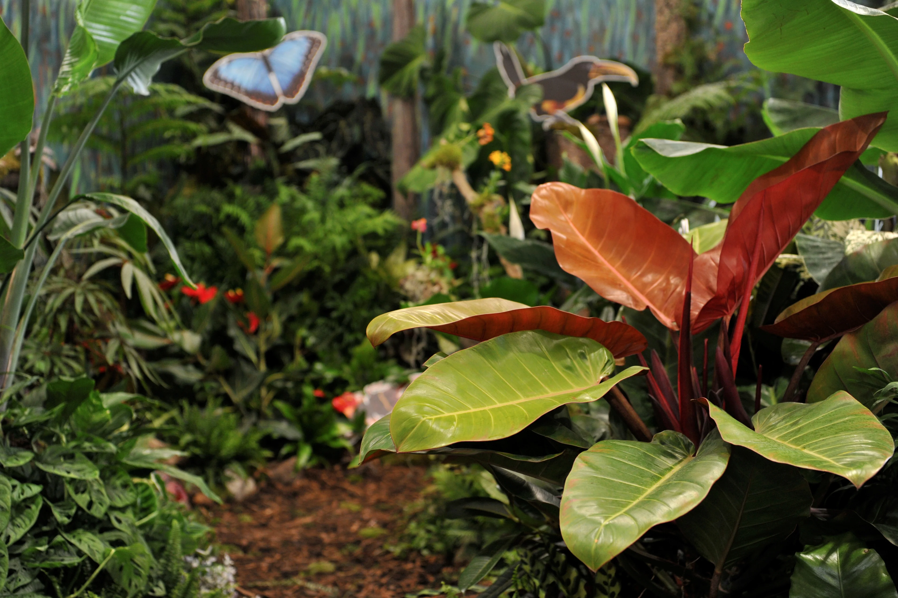 Bring Nature's Finest Indoors