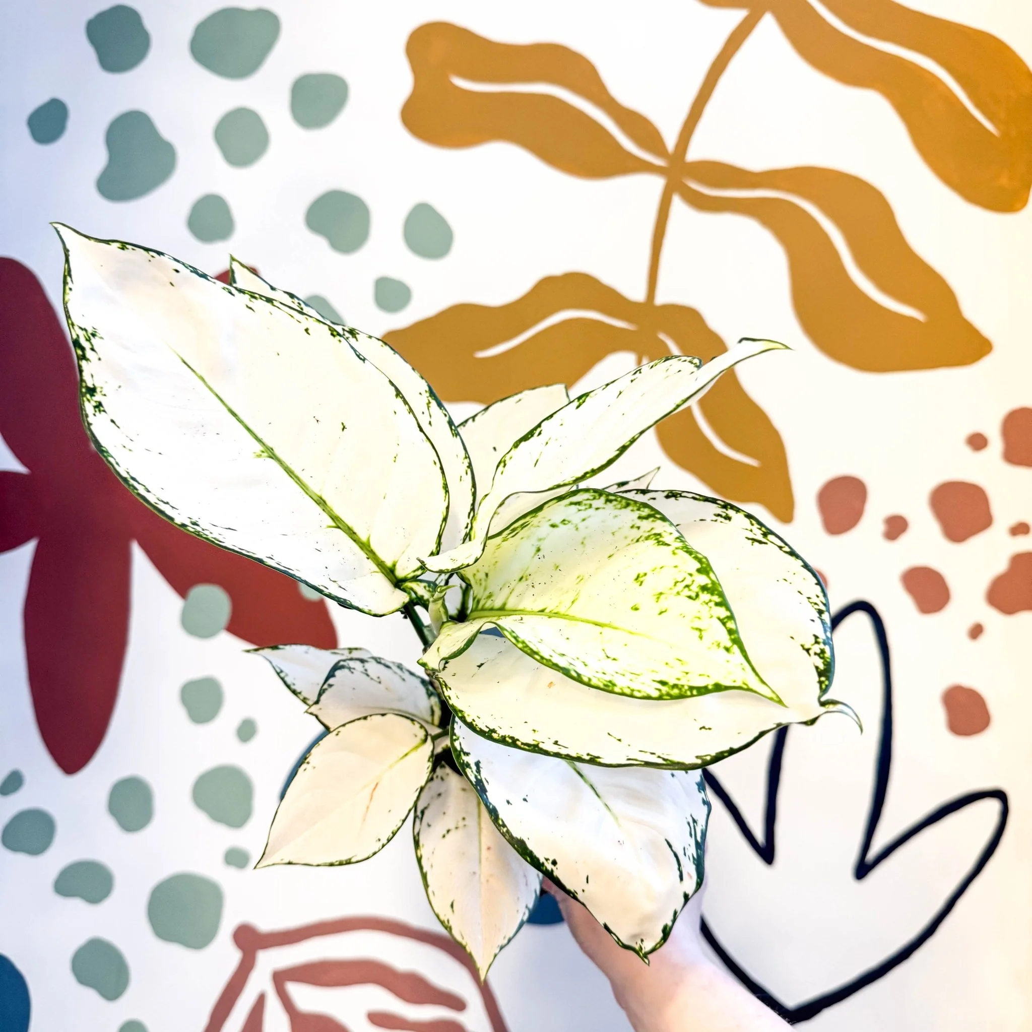 Thumbnail 13