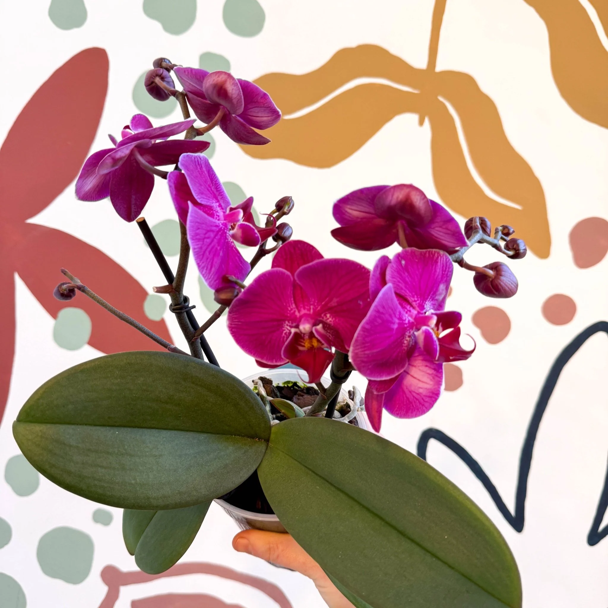 Thumbnail 18